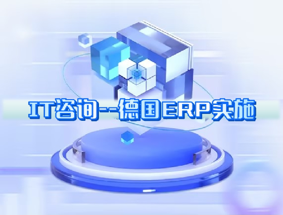 IT咨詢---德國ERP實(shí)施 IT咨詢---德國ERP實(shí)施